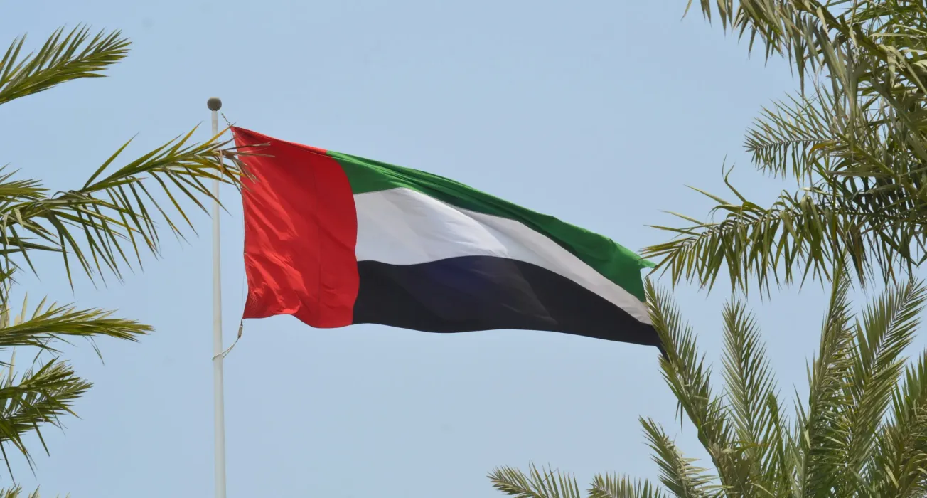 UAE flag