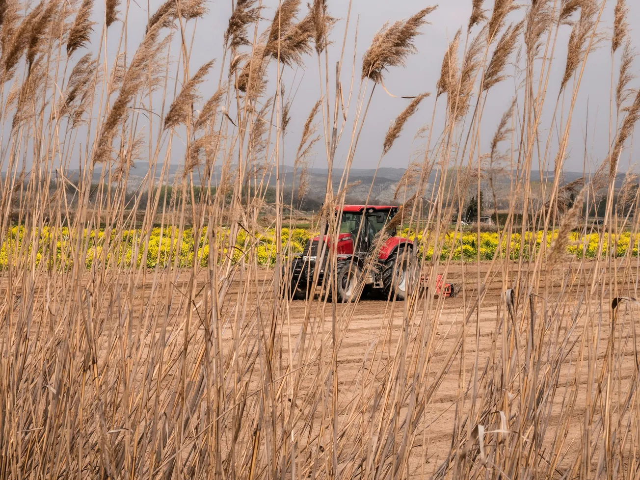 VERT Tokenizes $130 M Agribusiness Debt